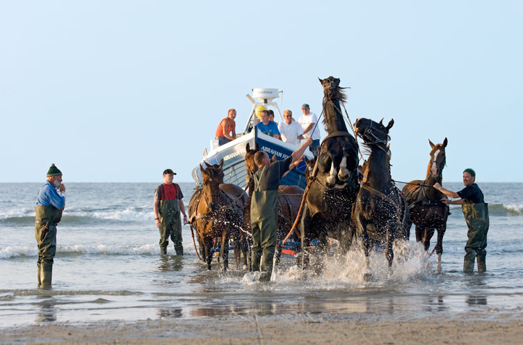 Paardenreddingboot