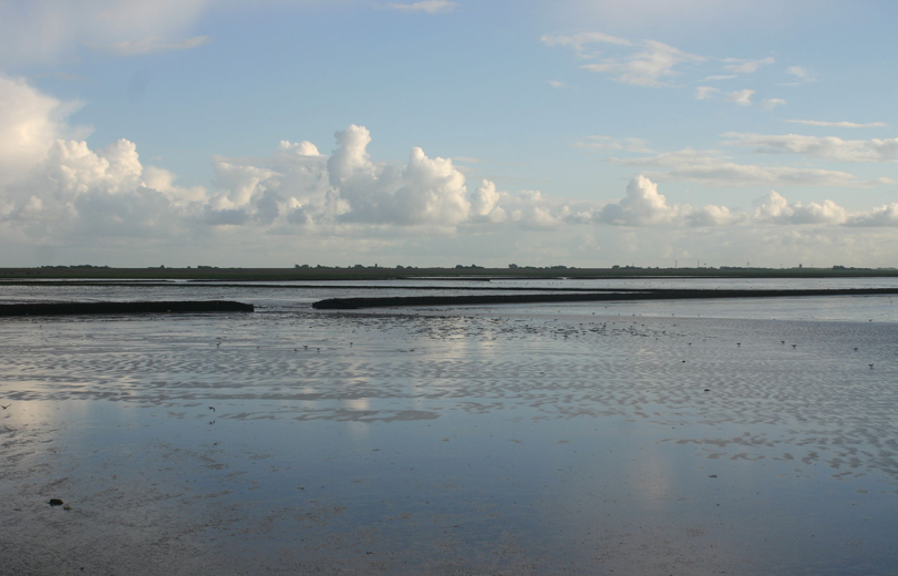 Onderzoek naar loslatende stenen op de Waddenzeedijk