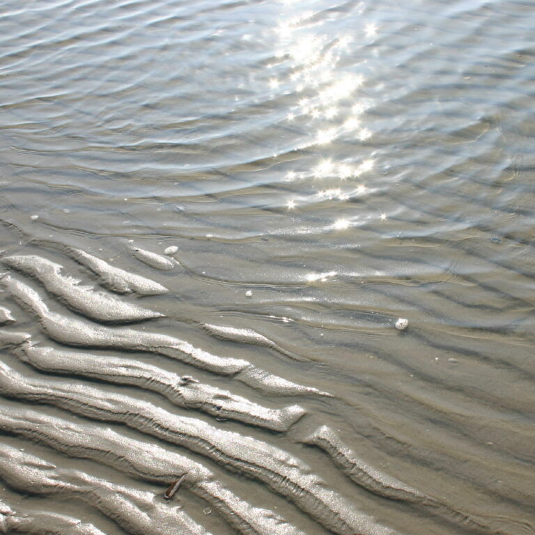 Strandschoonmaakdag Juttersvereniging