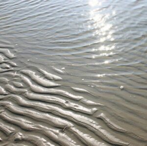 Café Doodgewoon op Ameland
