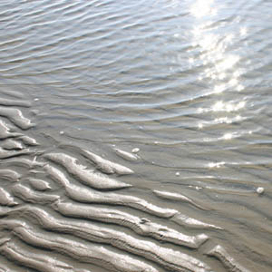 Onderzoeksboten bij Ameland