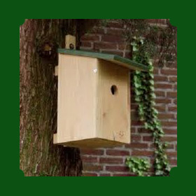nestkast