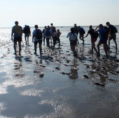 Waddengebied mooiste natuurgebied