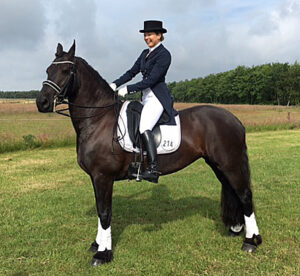 Grote dressuurwedstrijd op Ameland