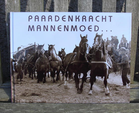 Paardenkracht Mannenmoed