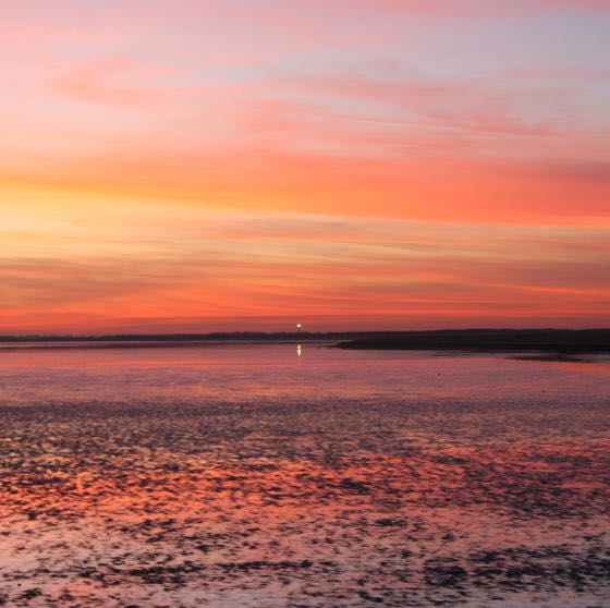 Deze week mooi strandweer verwacht 