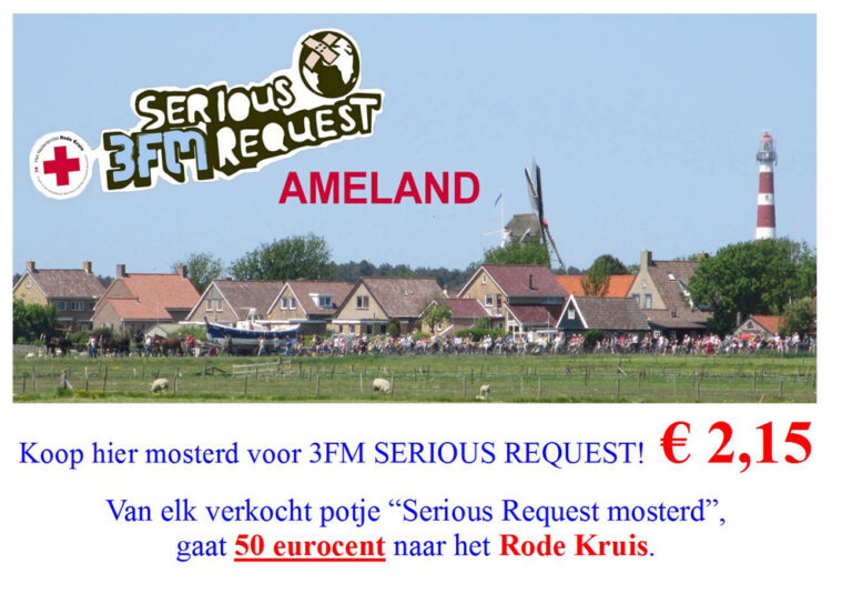 Serious Request