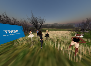 TMSP TV