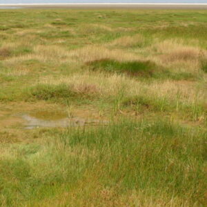 Natura 2000 op Ameland