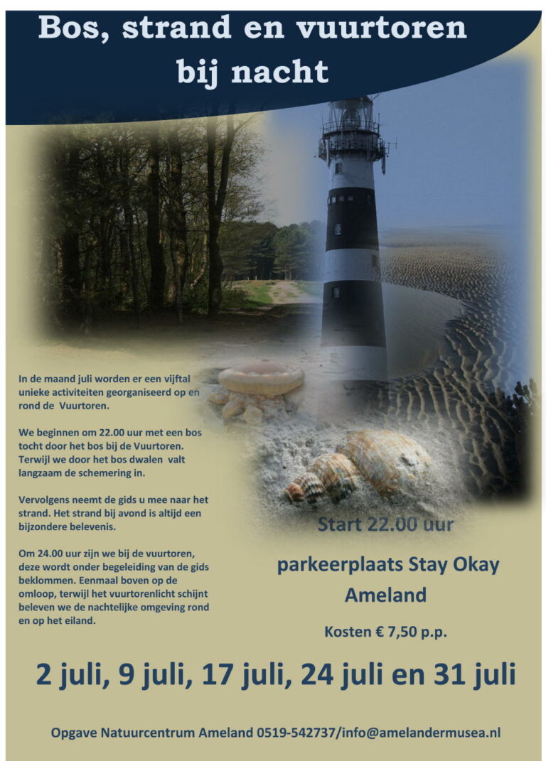 Ameland bij nacht