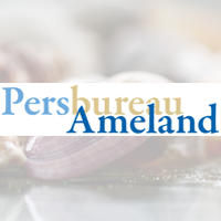 Adverteren op de Ameland nieuwssite