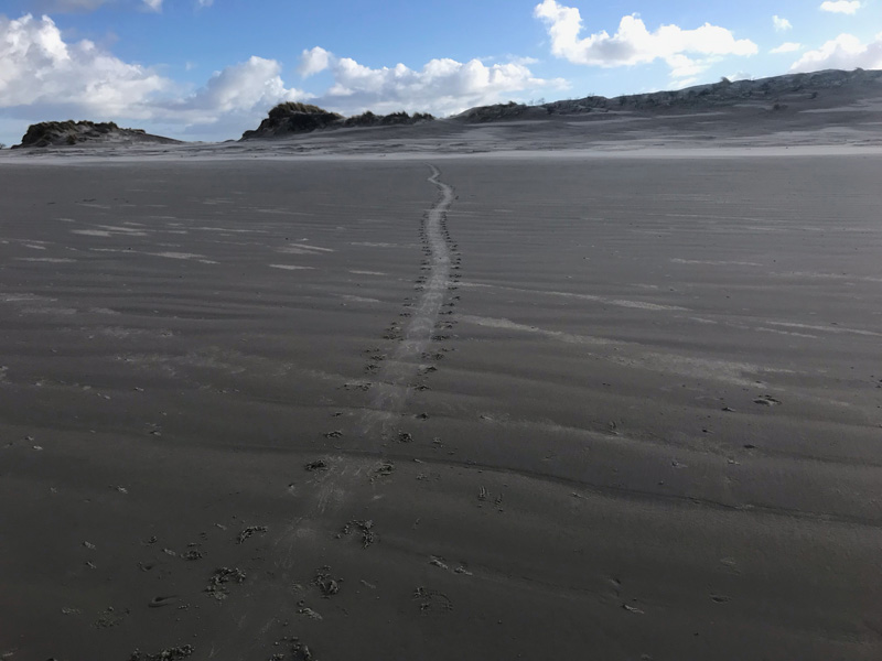 6. Mijn Ameland Foto