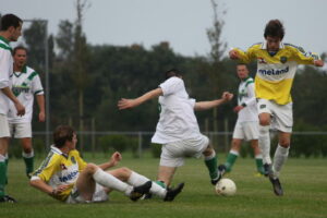 Geel Wit