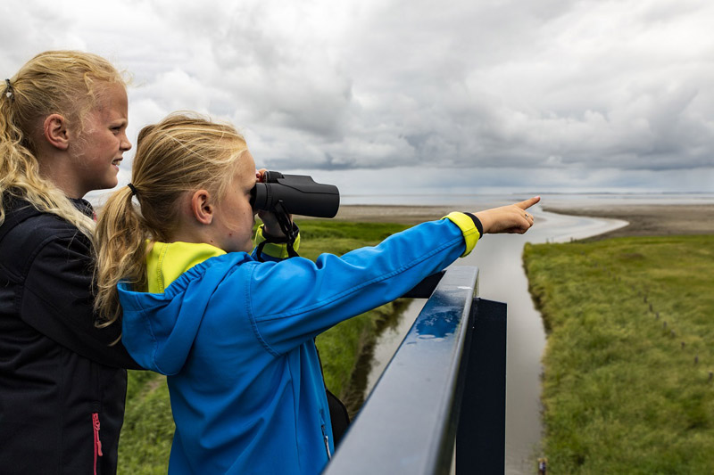 Waddenvereniging