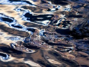 Virtuele dijkexperience in Week van Ons Water