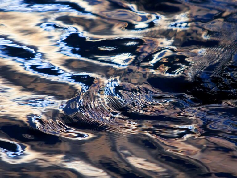 Virtuele dijkexperience in Week van Ons Water