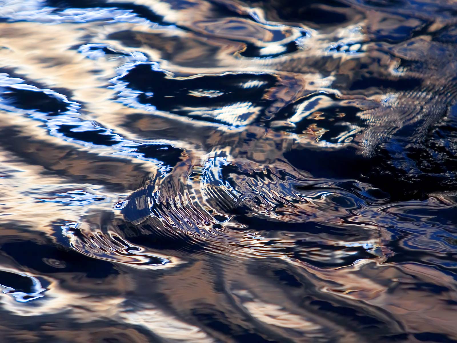 Virtuele dijkexperience in Week van Ons Water