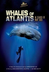 Whales of Atlantis