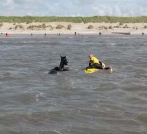 Helpende geest van de acht paarden