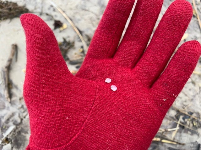 Plastic korrels op strand Ameland