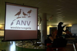 Logo Waddenvogels