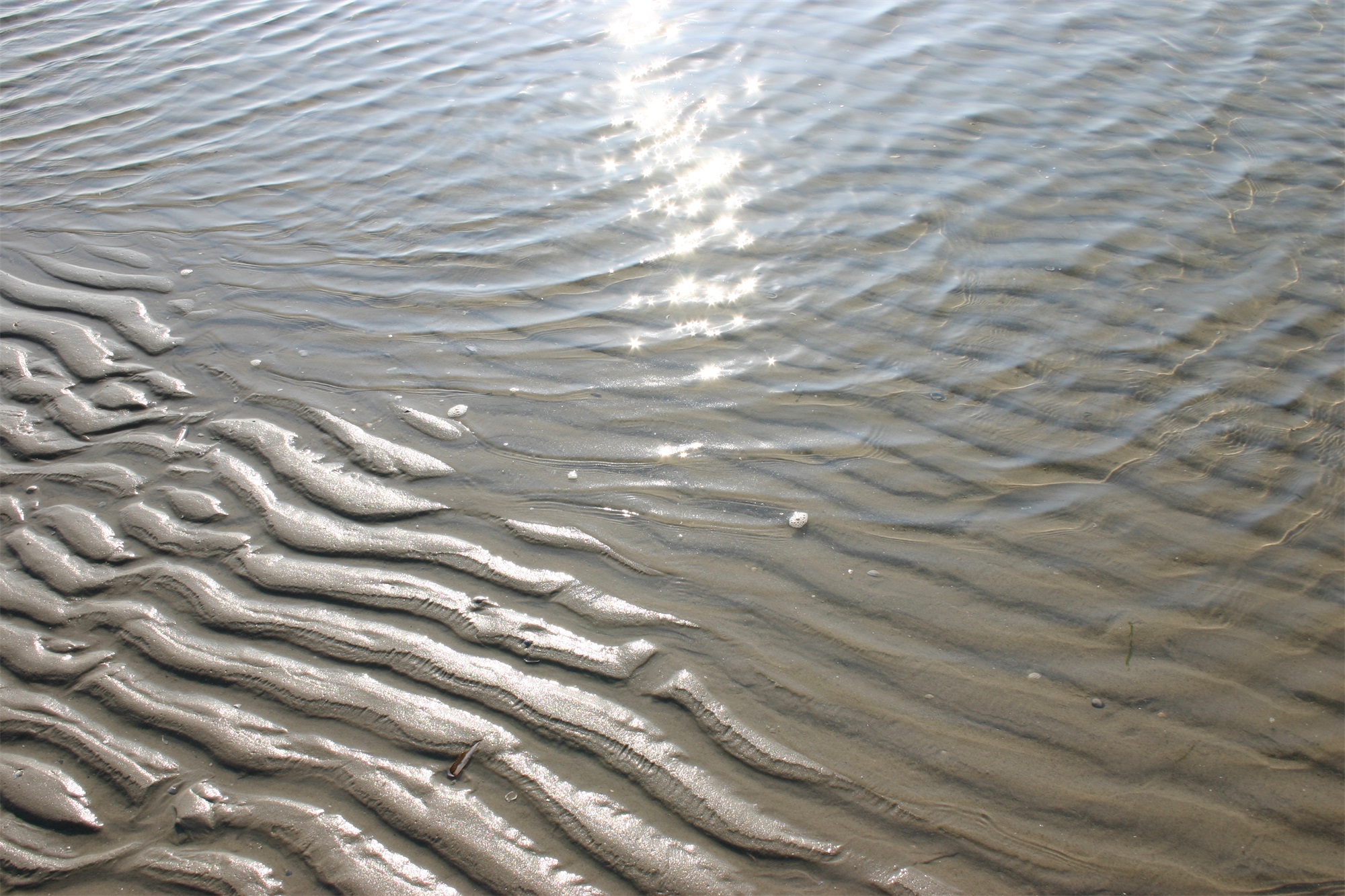 Ameland heeft schoon strand