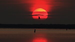 44. Mijn Ameland Foto