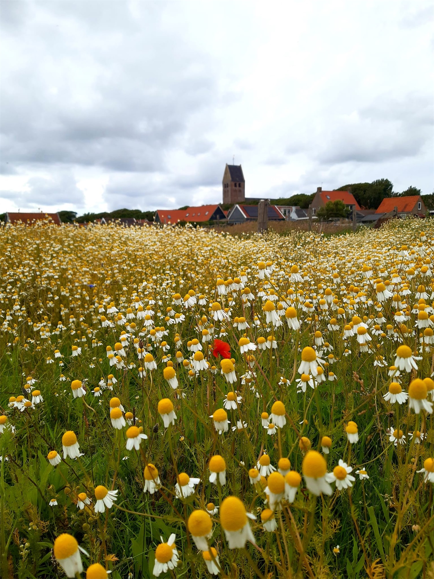 17. Mijn Ameland Foto