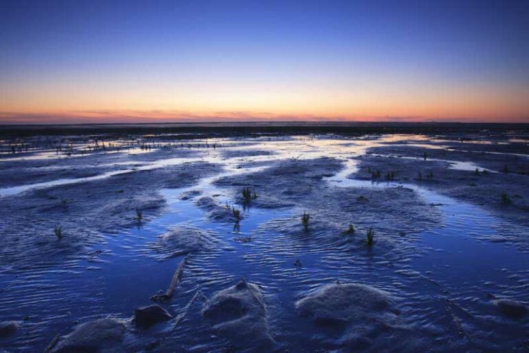Documentaire Wij & het Wad in première 