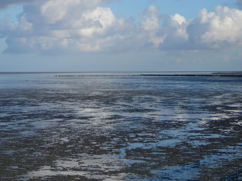 Meetfoutje op het Wad?