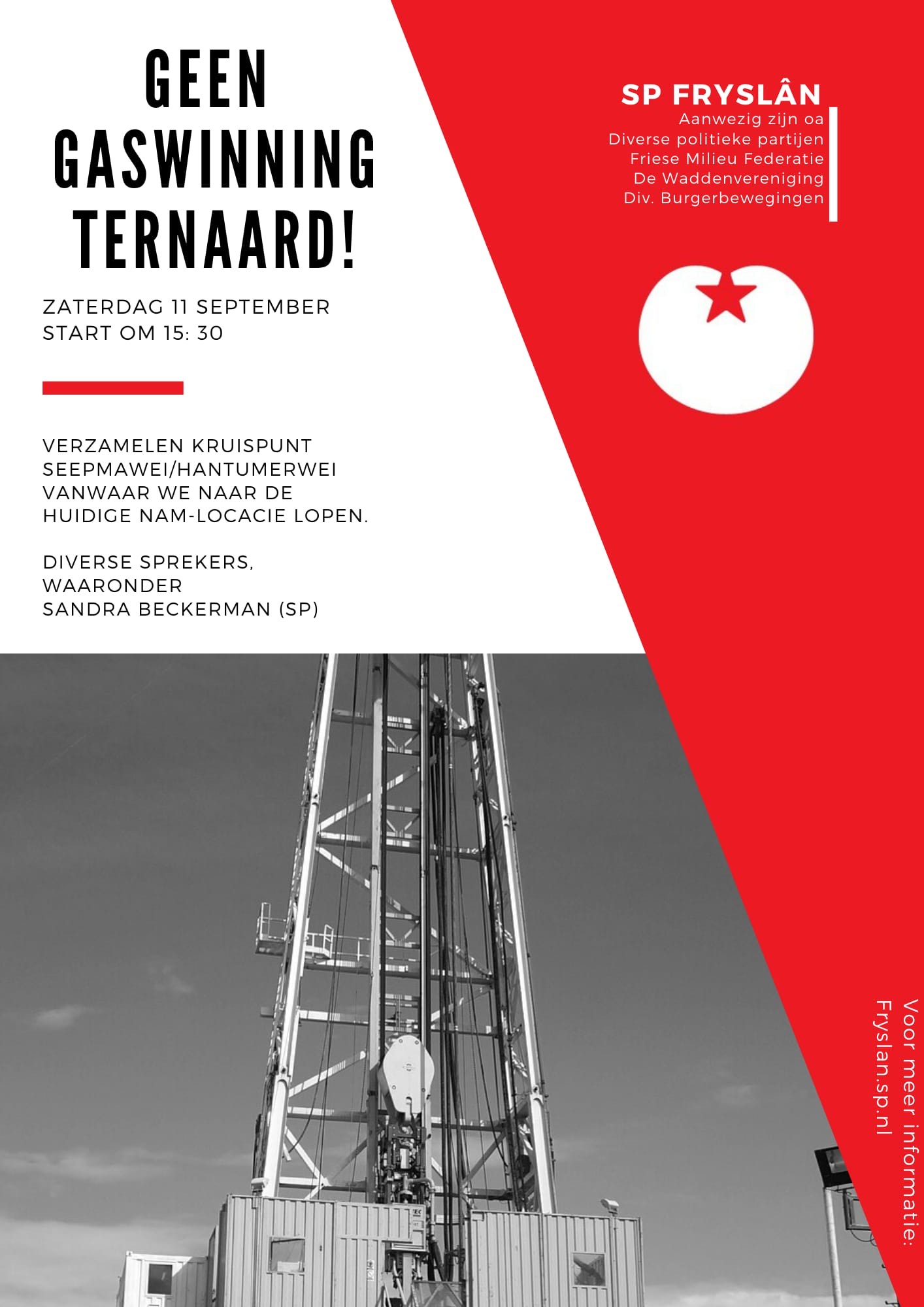 Ternaard