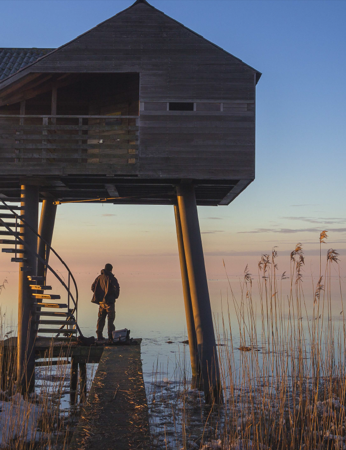 De Wadden