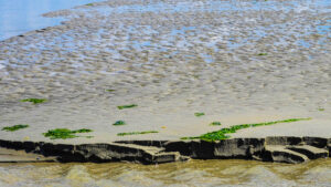 53. Mijn Ameland Foto