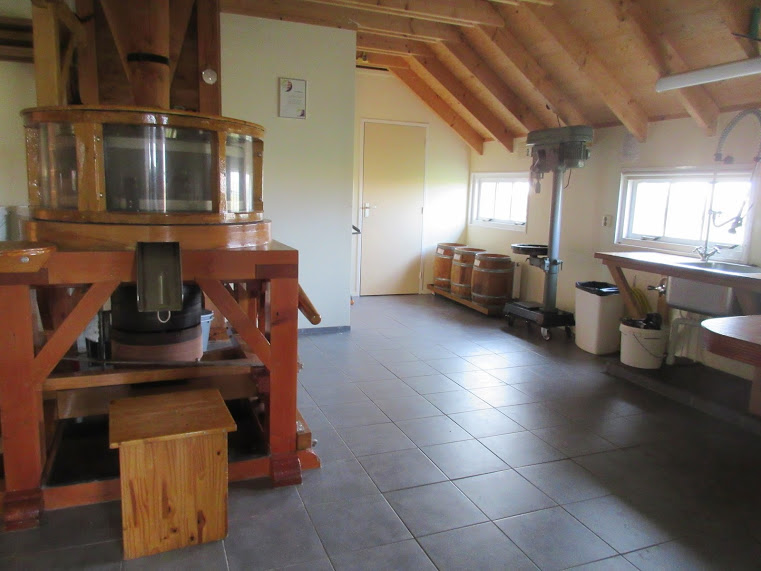 Molen