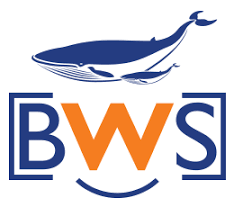 BWS