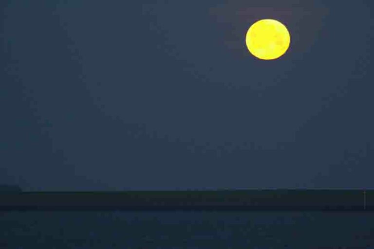 Volle maan