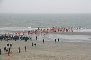 Nieuwjaarsduik