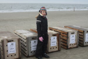 Zeehonden