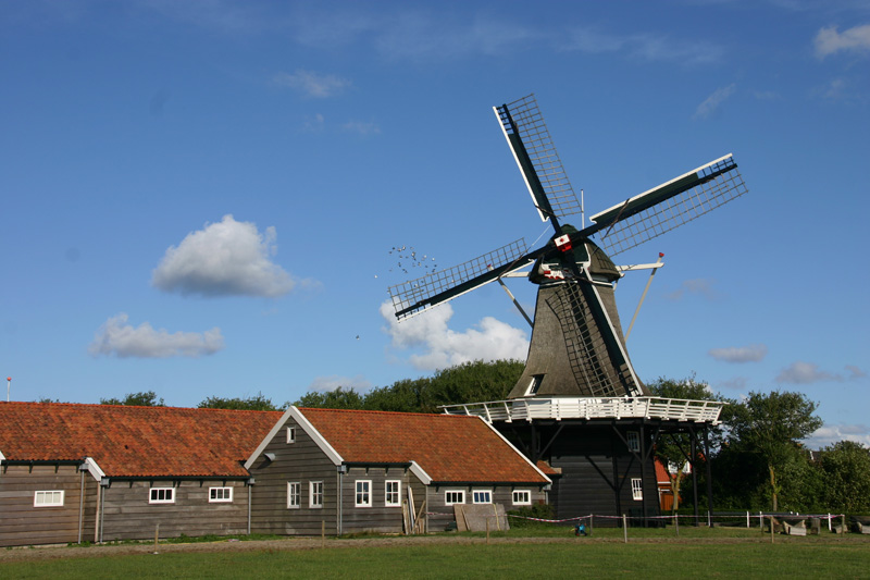 De Verwachting