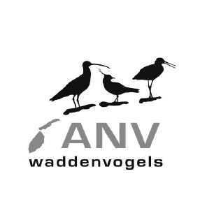 Waddenvogels