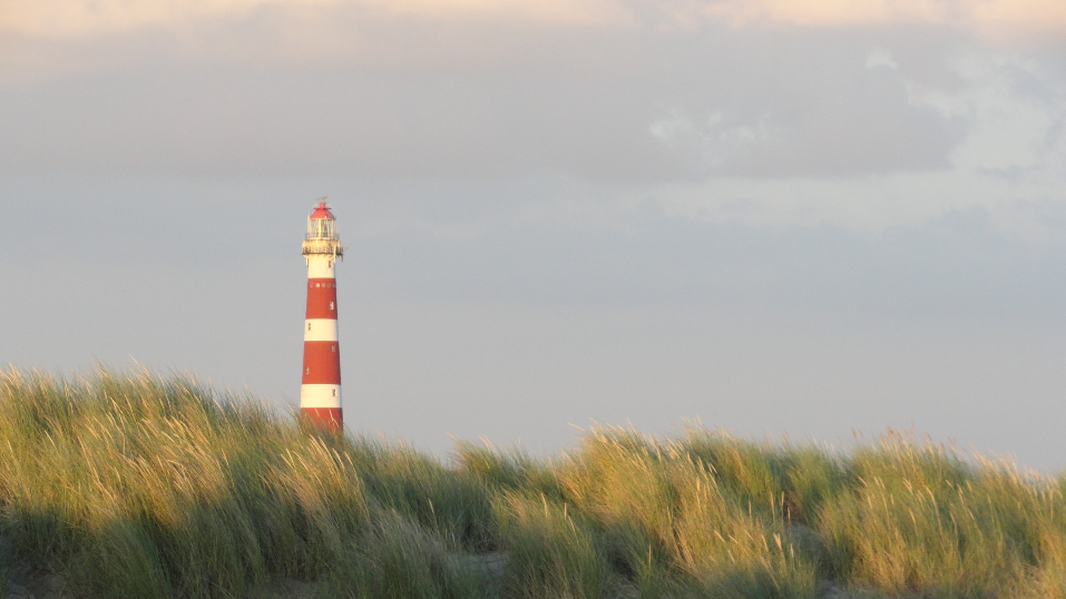 Amelandse liefde