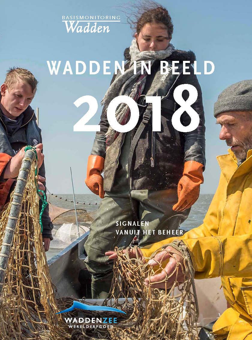 Wadden in beeld