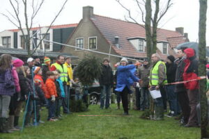 Kerstboomwerpen in Ballum