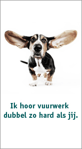 Vuurwerkleed
