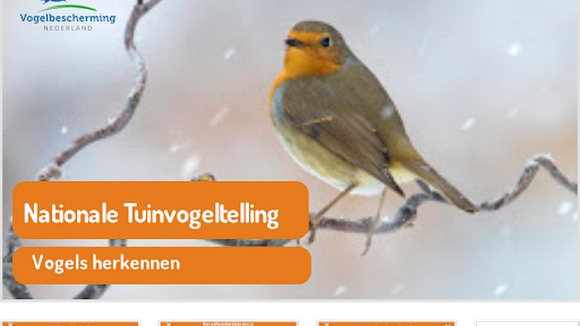 Tuinvogeltelling