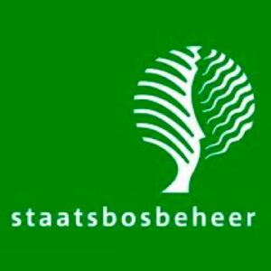 Kwekerijbos