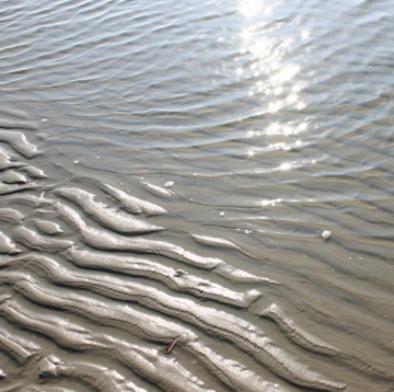 Thuishaven op Ameland