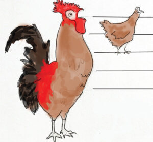 Mannen gezocht