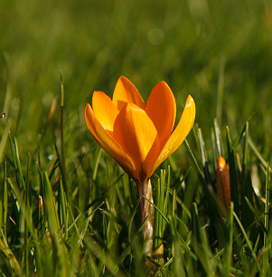 Warmste 25 februari ooit gemeten