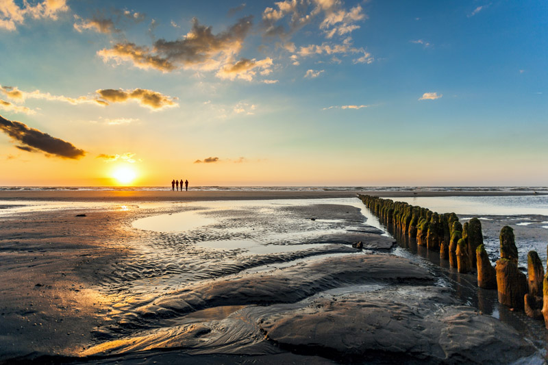 Dag van het Wad